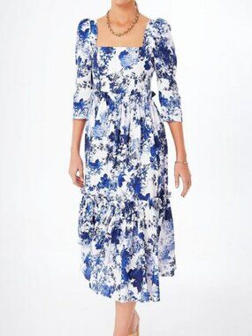 NWT Cara Cara x Tuckernut Blue Hill Dress Nordic Fields Blue Size 8